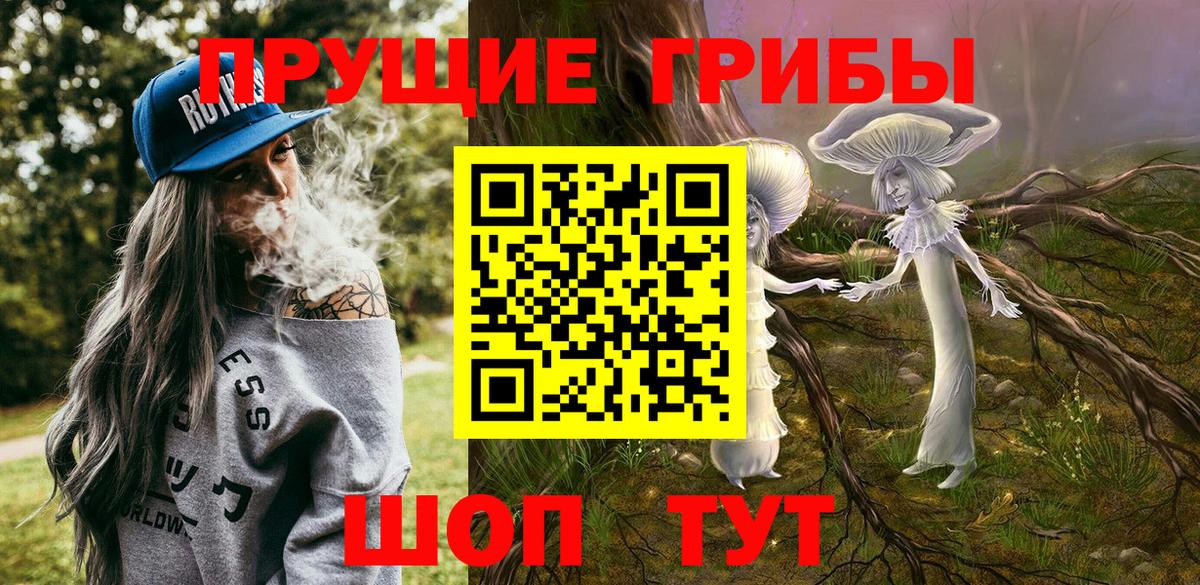 Грязи  Псилоцибиновые грибы прущие грибы  наркотики  Вход с VPN  Псилоцибиновые грибы Psilocybe 