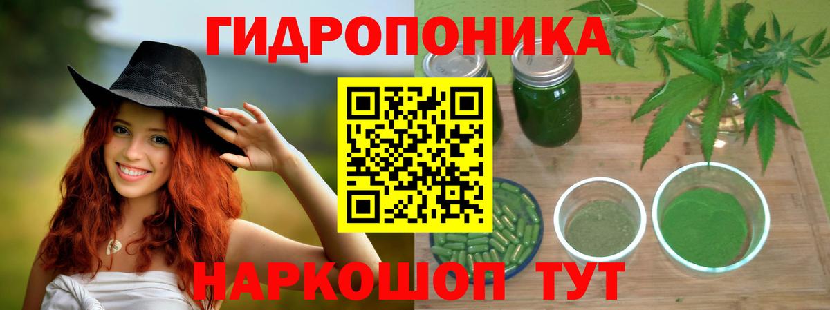 Каннабис Amnesia  Вход с VPN  Грязи  МАРИХУАНА ГИДРОПОН  Канабис тримм 
